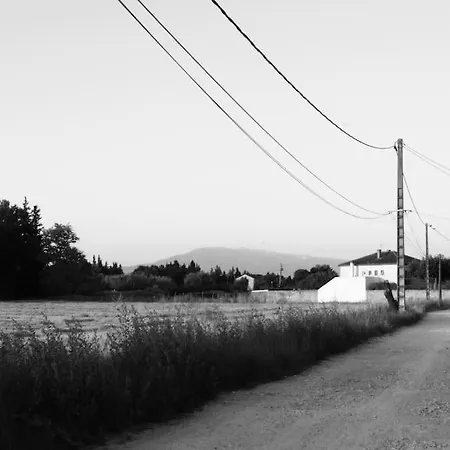 Maison En Campagne Provencale * Monteux